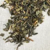 Stash Tea Green>Jasmine Blossom Green Tea