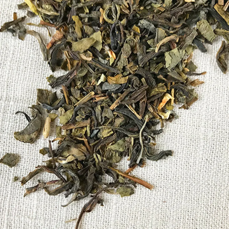 Stash Tea Green>Jasmine Blossom Green Tea