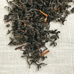 Stash Tea Unflavored>Kopili Estate Special Assam Black Tea