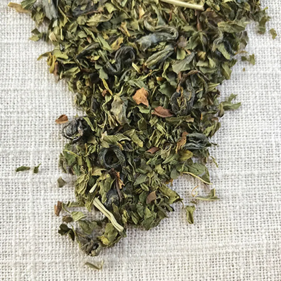 Stash Tea Green>Moroccan Mint Green Tea