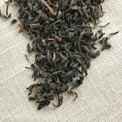 Stash Tea Loose Leaf>Organic Assam Black Tea
