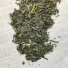 Stash Tea Unflavored>Premium Green Tea